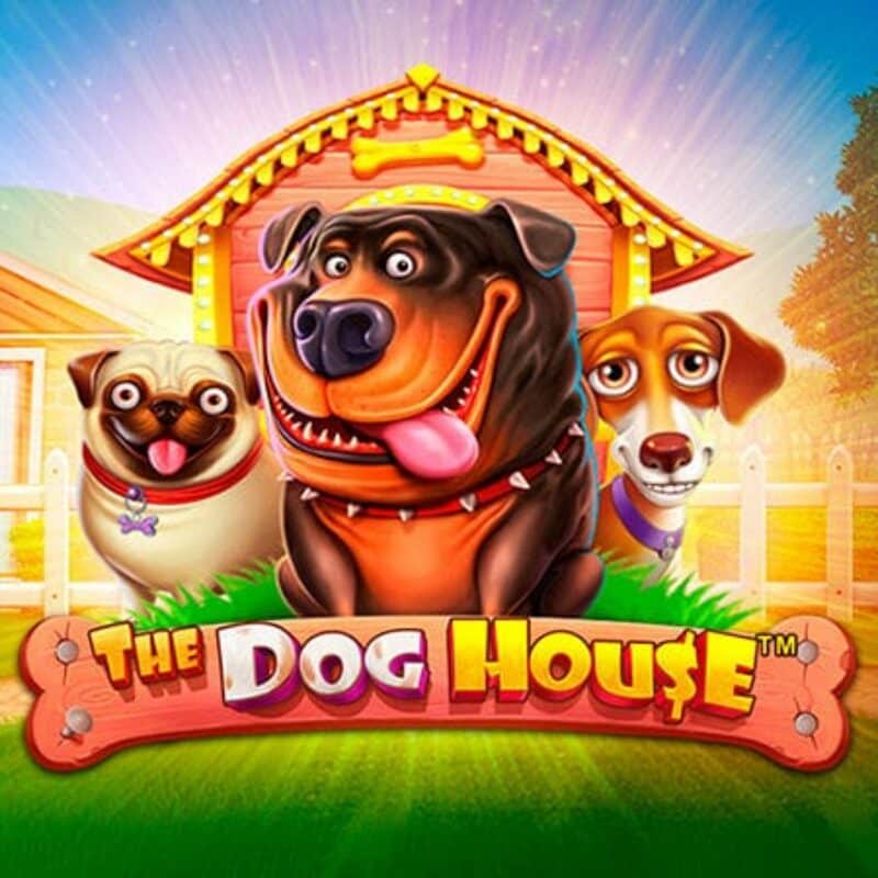 Recensione di The Dog House Recensione di The Dog House